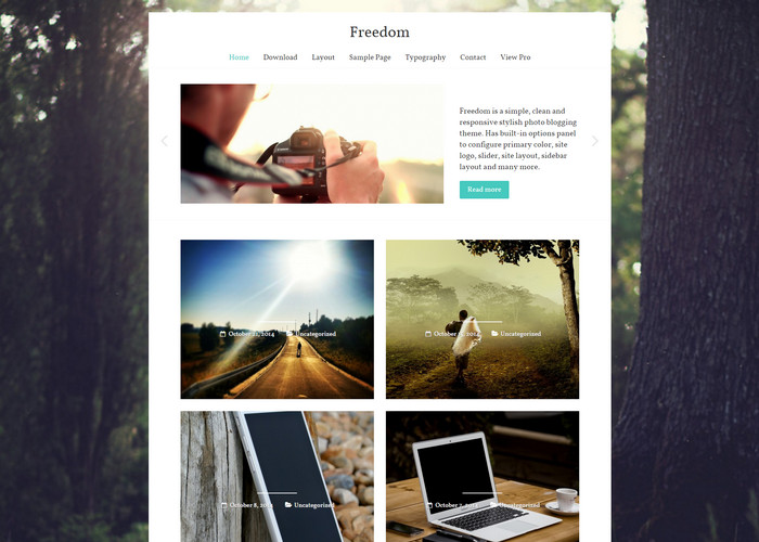 freedom wordpress theme