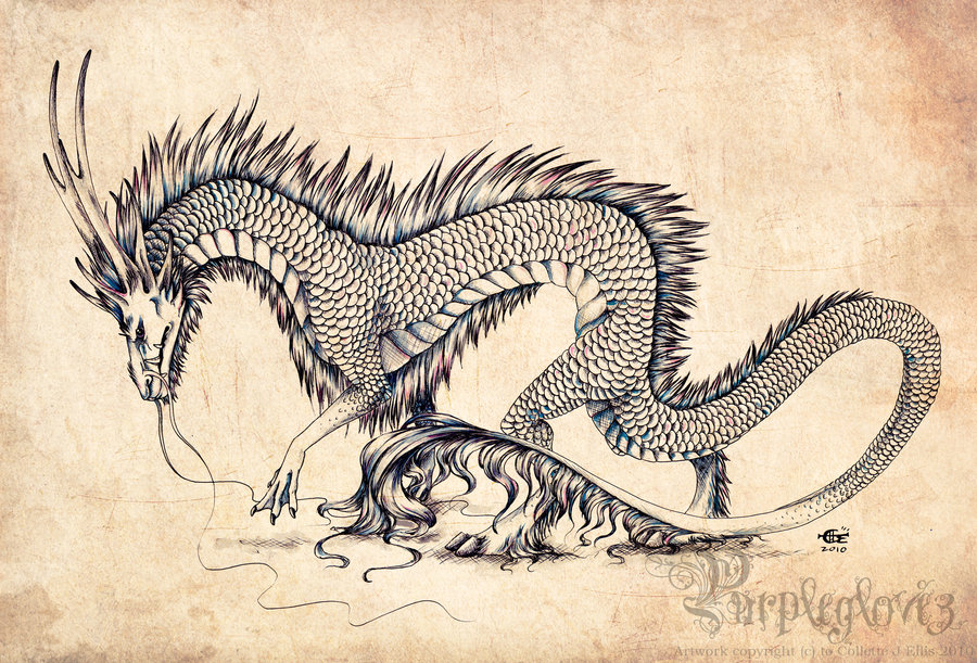free dragon drawings