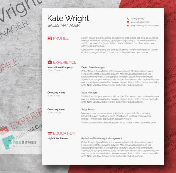 Word Indesign Resume Templates