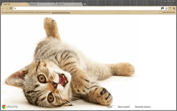 Cute Kitten Chrome Theme