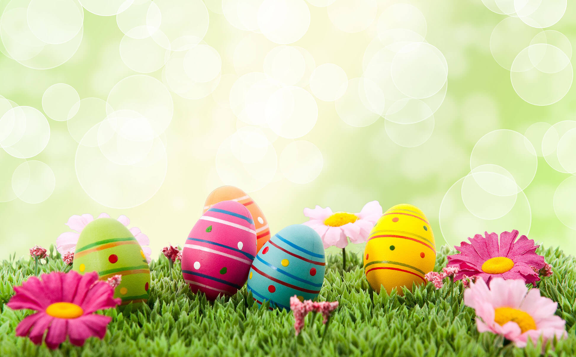 Happy one Easter Wallpaper