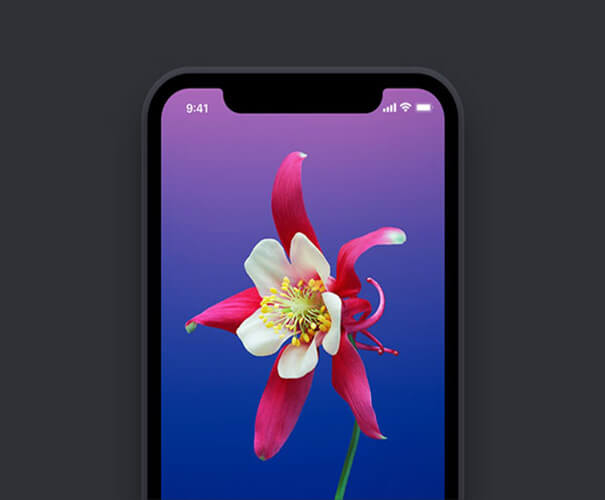 Flower iPhone X Mockup Template
