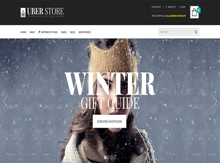 Winter Store WordPress