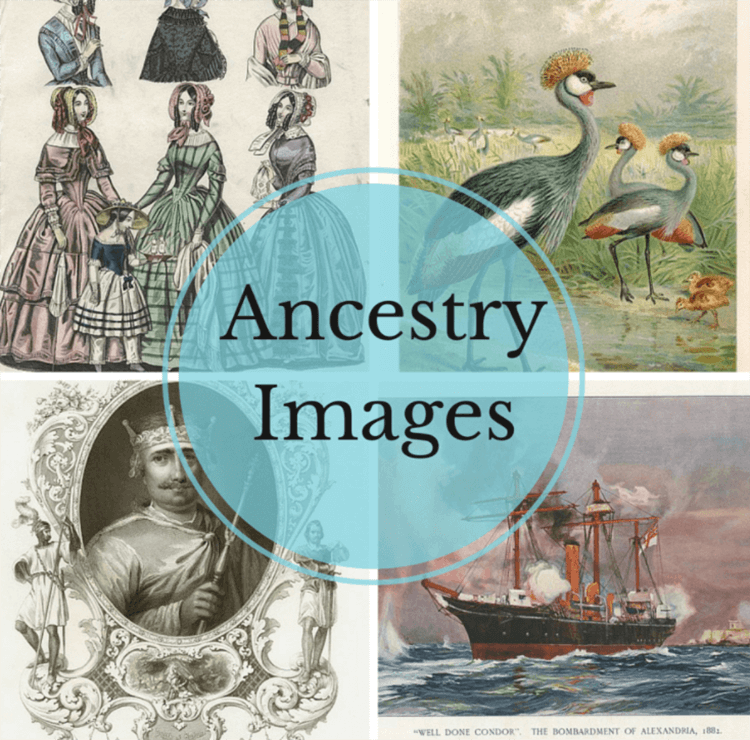Ancestry Images Free Stock