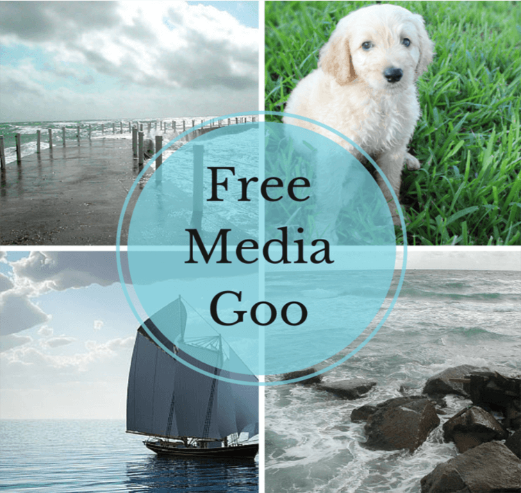 Free Media Goo Best Free