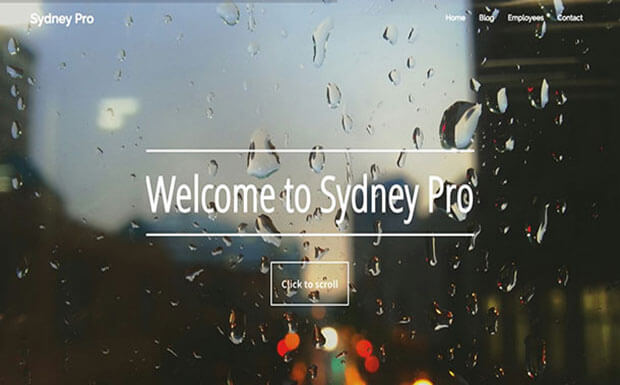 sydney pro Business WordPress