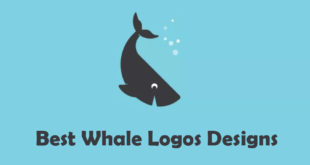 Best Whale Logo Designs